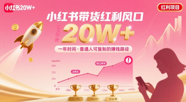 一年时间靠小红书带货项目年入20w+，最不能错的大红利项目