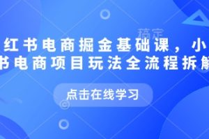 小红书电商掘金课，小红书电商项目玩法全流程拆解（更新9月）