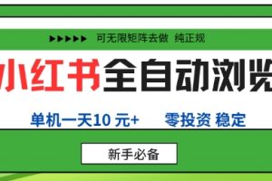 小红书全自动浏览项目，零投资，全程手机去跑，单账号一天10米+，可无限矩阵去做【揭秘】