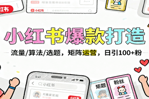 小红书爆款打造：流量/算法/选题，矩阵运营，日引100+粉