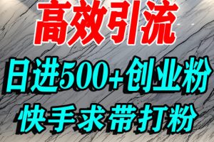 怎么打创业粉？快手求带视角精准引流创业粉，宝妈、学生群体日进500+精准流量