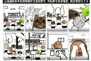 卤蛋哈基米短视频制作全流程教学，条条爆款，疯狂吸粉几十万