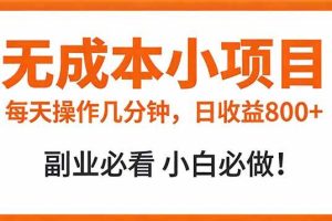 （17307期）无成本小项目 每天操作几分钟，真实日收益800+ 副业必看 小白必做！