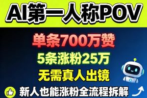 AI第一人称POV，单条700W赞，5条涨粉25W，无需真人出镜，新人也能涨粉全流程拆解