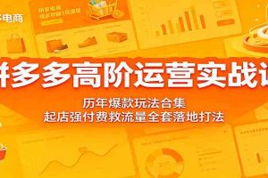 拼多多高阶运营实战课：历年爆款玩法合集，起店强付费救流量全套落地打法
