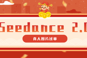 9套提示词教你真人图片过审，搞定即梦Seedance 2.0真人视频（附全套提示词）