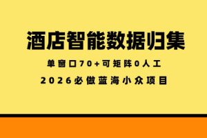 酒店智能数据归集，小众蓝海已经稳定半年之久，单窗口70+零成本矩阵开干【揭秘】