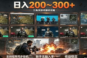 日入200~300+ 三角洲全自动搬砖项目，新手零门槛即可无脑入手