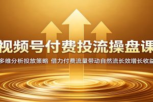 视频号付费投流操盘课：多维分析投放策略，借力付费流量带动自然流长效增长收益