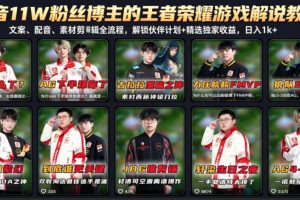 抖音11W粉丝博主的王者荣耀游戏解说教程，文案、配音、素材剪辑全流程，解锁伙伴计划+精选独家收益，日入1k+