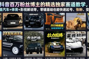 抖音百万粉丝博主的精选独家赛道教学，涵盖汽车+体育+影视解说等，零基础也能快速起号、涨粉、变现