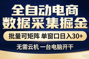 全自动电商数据采集掘金，批量可矩阵单窗口日入30+，无需云机一台电脑开干【揭秘】