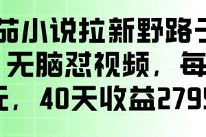 番茄小说拉新野路子玩法，无脑怼视频，玩法简单、见效快，每单10米，40天收益27950