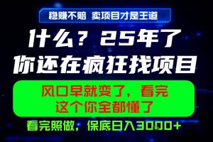 26年，请不要疯狂的找项目做了！卖项目才是真的稳賺不赔，看完照做，保底日入1k+【揭秘】