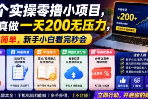 5个实操零撸小项目，认真做一天200无压力，操作简单，新手小白看完秒会【揭秘】