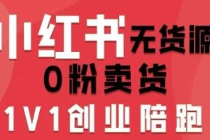小红书无货源0粉电商课，开店准备、选品策略、笔记撰写、视频剪辑、数据分析、账号打造、资料文档（更新26年6月22日）