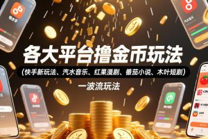 各大平台撸金币玩法（快手新玩法、汽水音乐、红果漫剧、番茄小说、木叶短剧），一波流玩法（收费398元的教程）