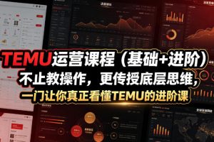 TEMU运营课程（基础+进阶），不止教操作，更传授底层思维，一门让你真正看懂TEMU的进阶课