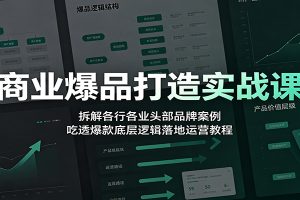 商业爆品打造实战课:拆解各行各业头部品牌案例,吃透爆款底层逻辑落地运营教程